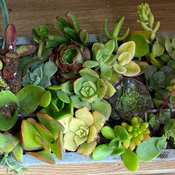 Meet your Posher, Ravina - Picture 1 of 1